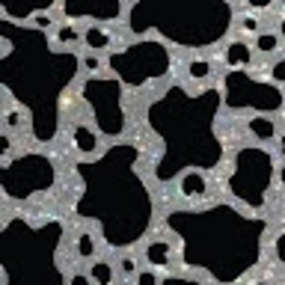 Meet your Posher, Ashlynn